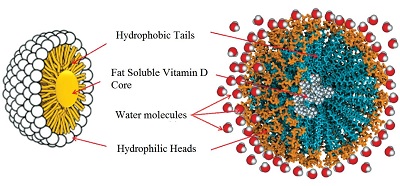 Micellar form of cholecalciferol Aquavit D3