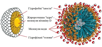 Схема будови міцели Аквавіта Д3